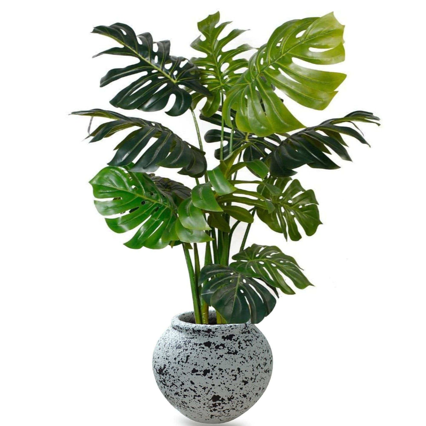 Athens Zement Pflanzgefäß 36 cm