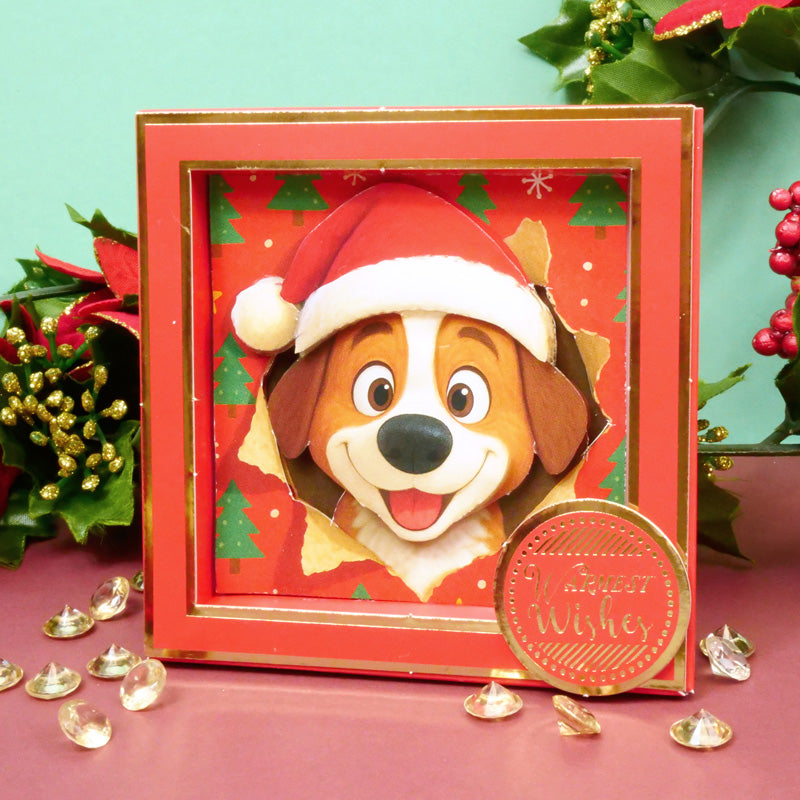 Square Pocket Pad Box Frames