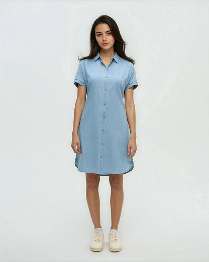 Denim Tern Dress