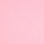 Colorplan 8.5X11 Cardstock 100#CV - 10 Sheets