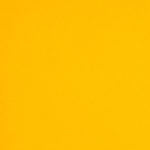 Colorplan 8.5X11 Cardstock 100#CV - 10 Sheets