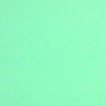 Colorplan 12X12 Cardstock 100#CV - 10 Sheets