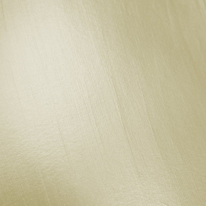 Cosmic Shimmer Gilded Touch 18ml