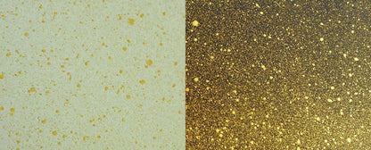 Cosmic Shimmer Pearlescent Airless Misters 50ml