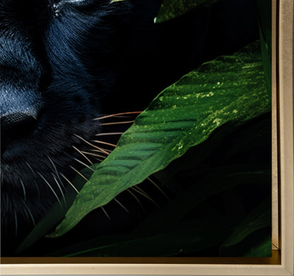 Wandbild - Seltener Schwarzer Jaguar - Wildlife Leinwand