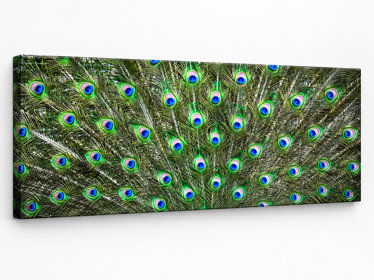 Große Leinwand Wandkunst – Pfauenfedern – Naturkunstwerk