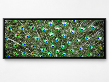 Große Leinwand Wandkunst – Pfauenfedern – Naturkunstwerk