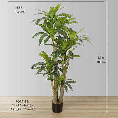 Dana Künstlicher Drachenbaum im Topf (verschiedene Größen)