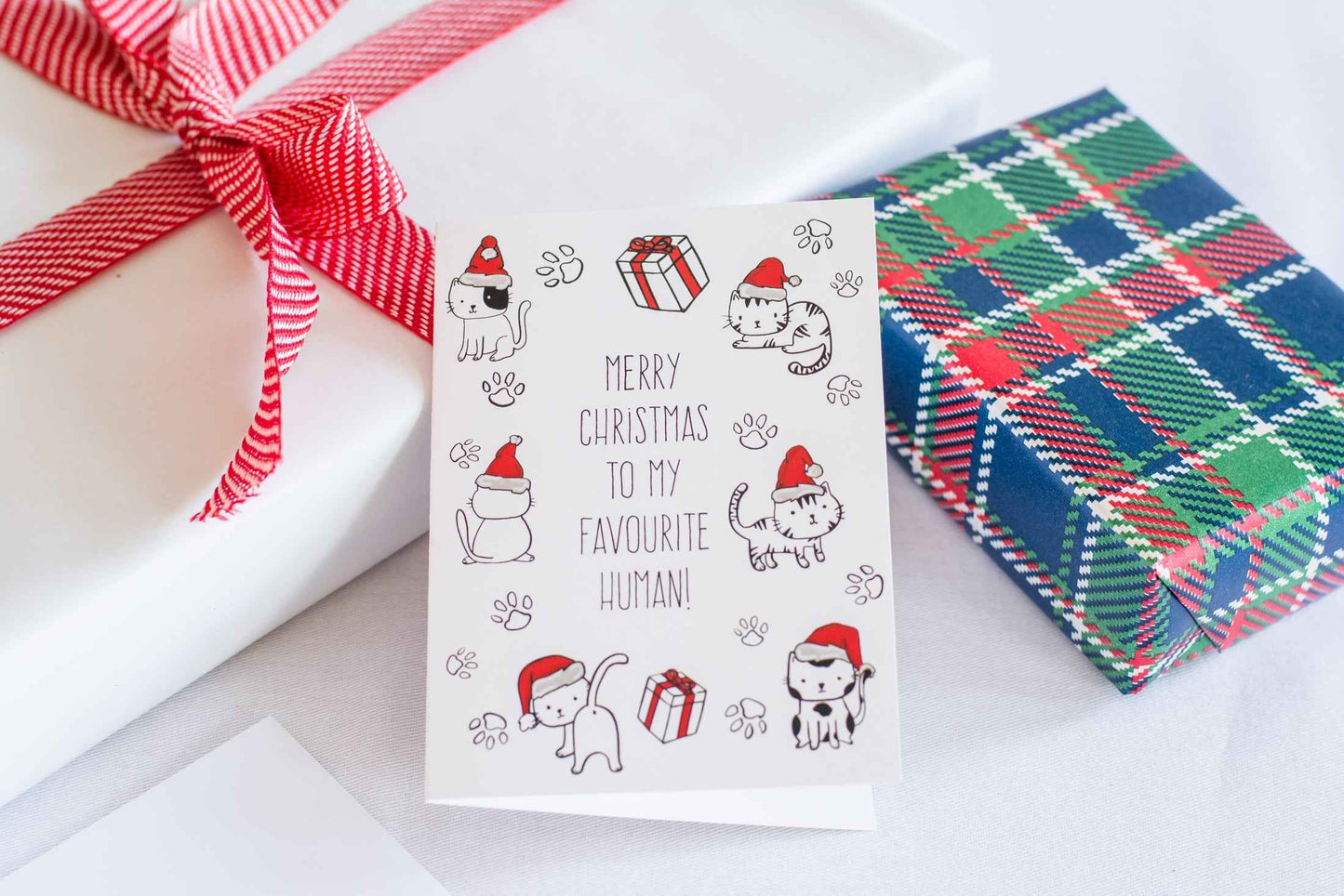 Merry Christmas To My Favourite Human! (Cat) - Greeting Card