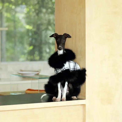 Dubai Dog Coat | Plaid Dog Coat