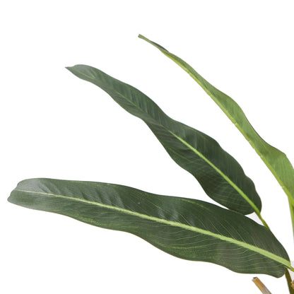 Emma künstliche Palmenpflanze im Topf 109 cm