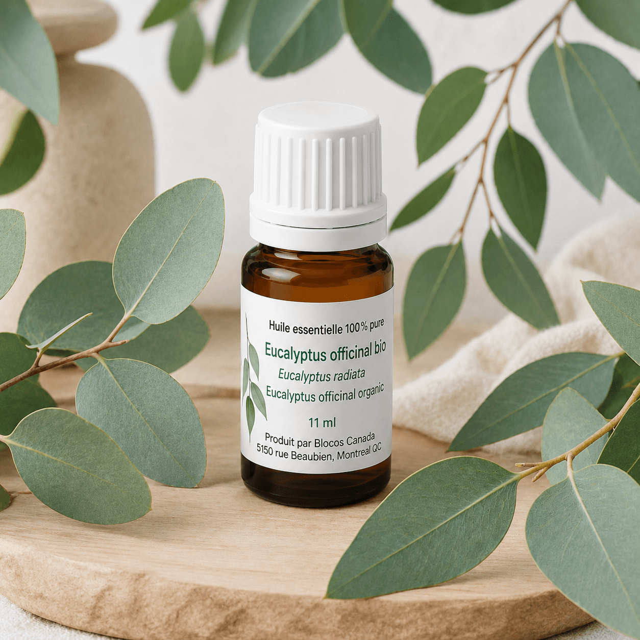 Eucalyptus officinal (Radiata)