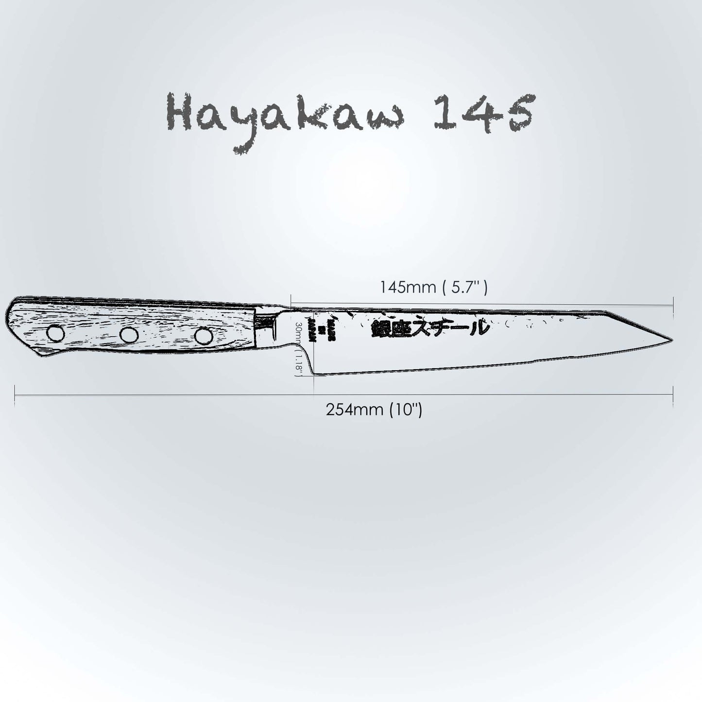 Hayakawa 145- Kiritsuke Petty Knife Klinge 145mm