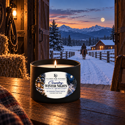 Country Winter Nights