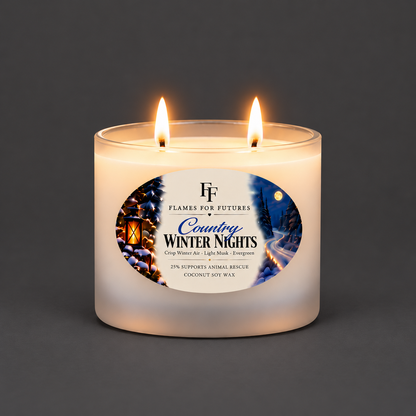Country Winter Nights