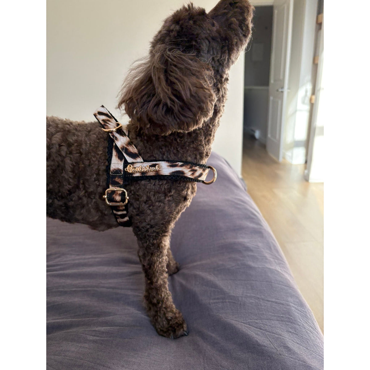 Leopard collar