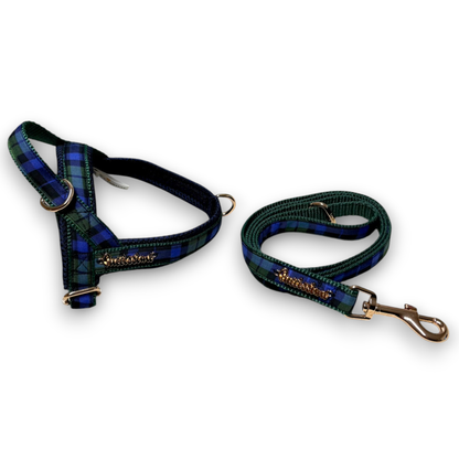 Madras One-Click Dog Harness