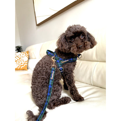 Madras One-Click Dog Harness