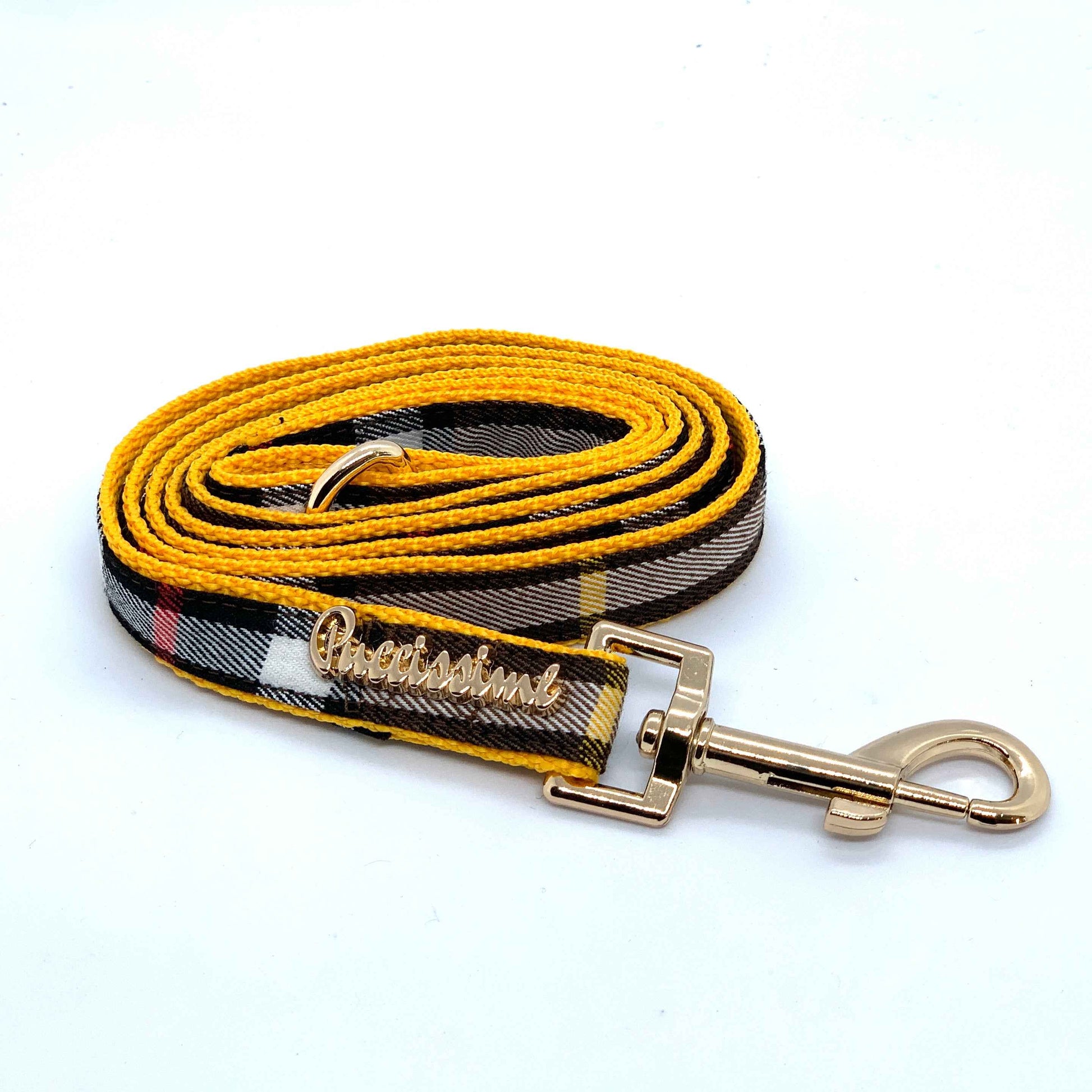 Medallion dog collar