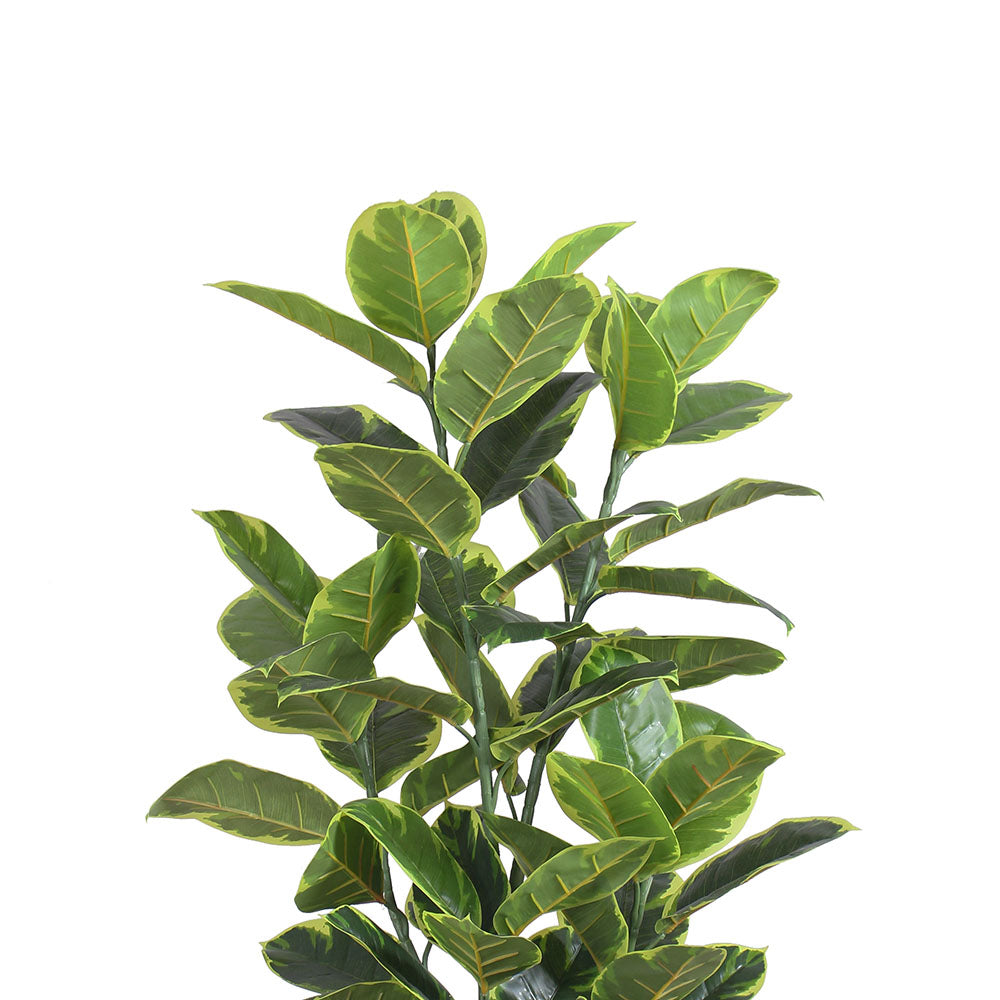Jerico Kunstkautschuk Topfpflanze 120 cm
