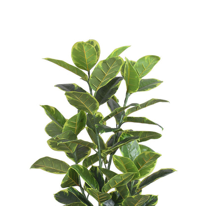 Jerico Kunstkautschuk Topfpflanze 120 cm
