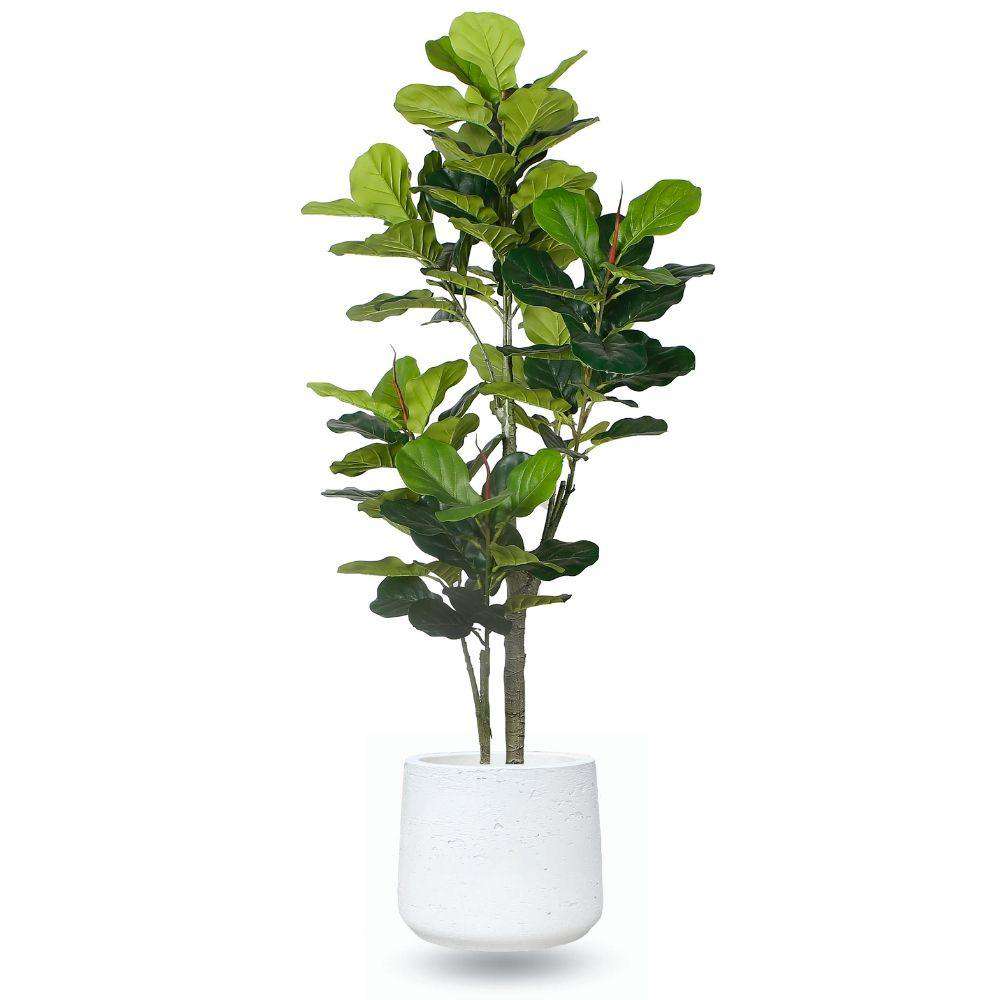 Lazaro White Zement Pflanzgefäß 13''