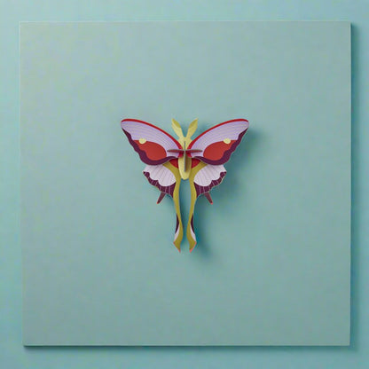 Lilac Comet Butterfly