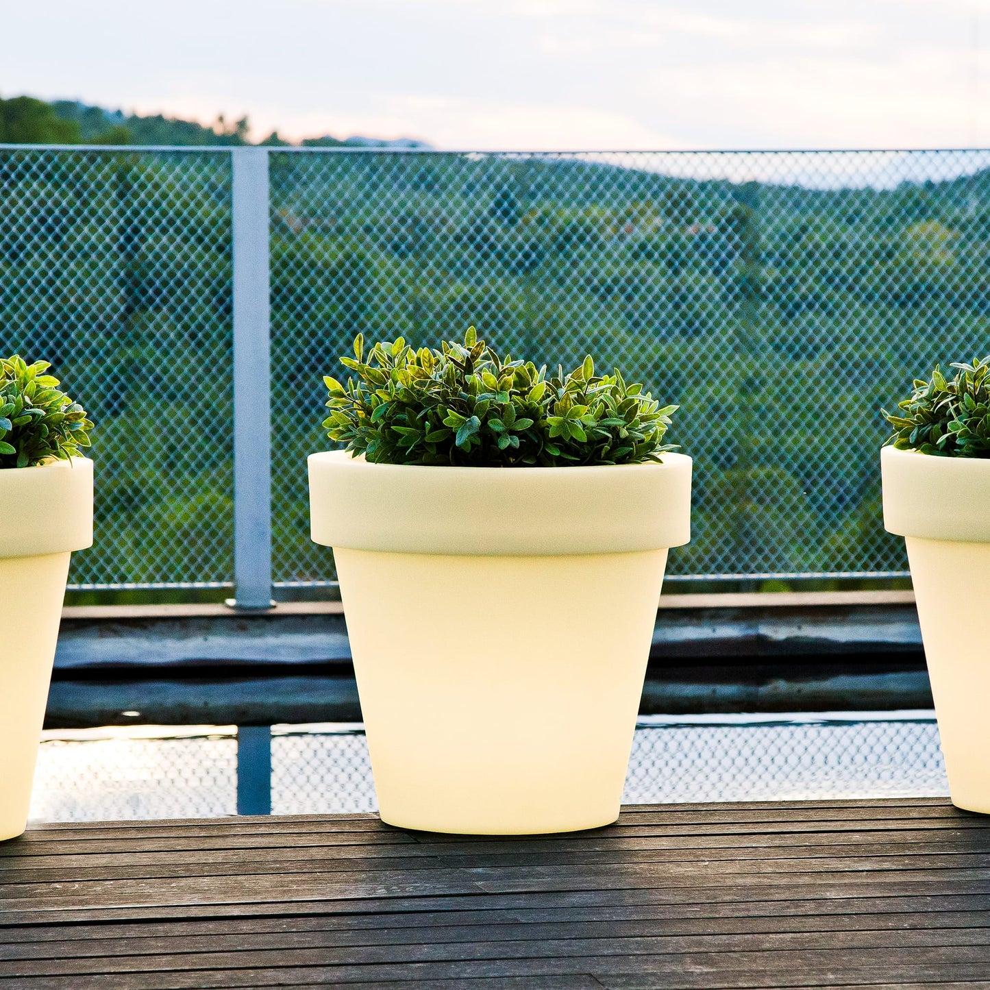 Magnolia<br> Solar & Rechargeable