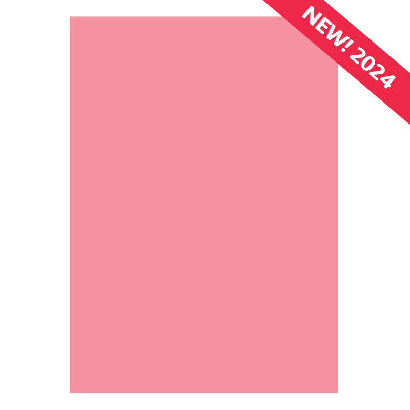 Matt-tastic Adorable Scorable A4 Cardstock x 10 Sheets