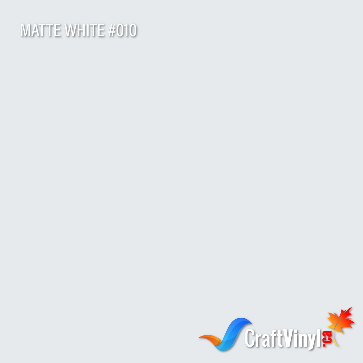 Oracal 651 Glossy White #010 sheets and rolls