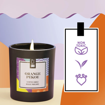 Orange Pekoe Soy Wax Candle - Sage & Driftwood - 8 oz
