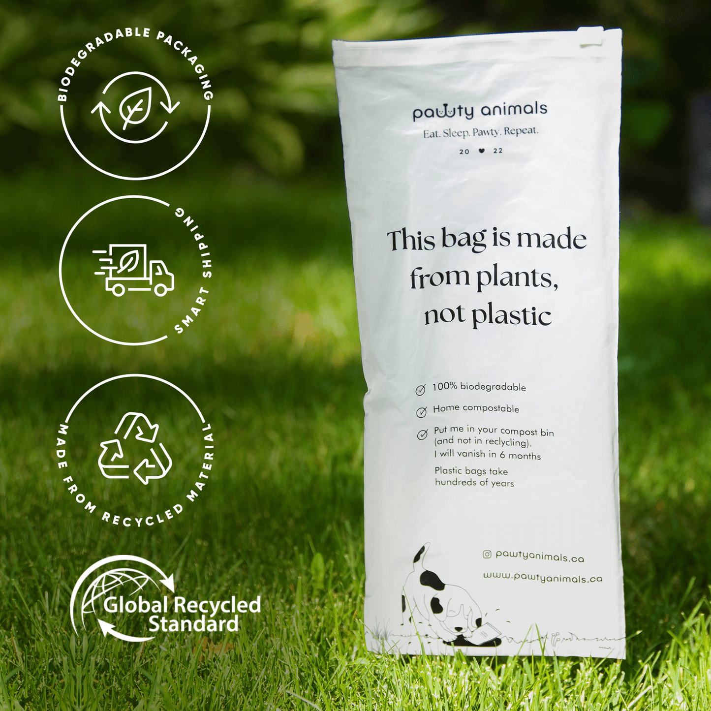 Tim Pawtons Dog Toy (Back in Stock MAY 2026)
