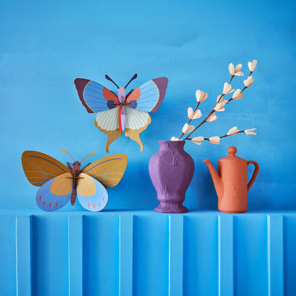 Plum Fringe Butterfly