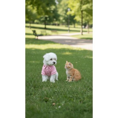 Pink cotton shirt