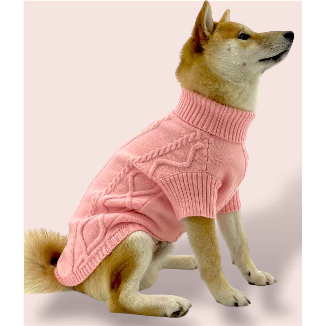 Pink Sweater