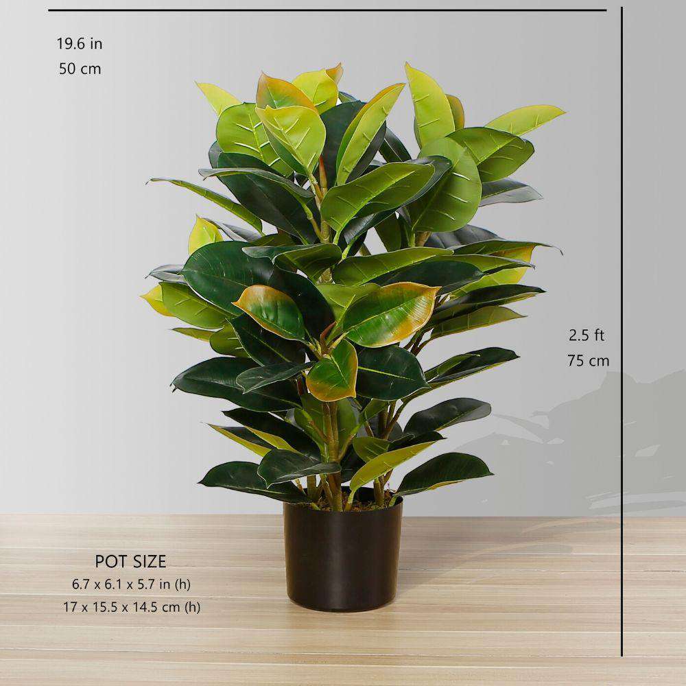 Rubi Künstlicher Kautschuk-Topfpflanze 76 cm