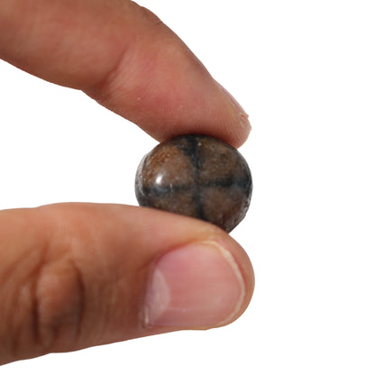 Chiastolite Tumbled Stones