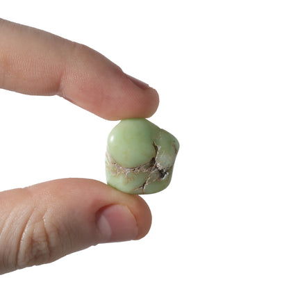Chrysoprase A Tumbled Stones - Semi-Polished - Brazil