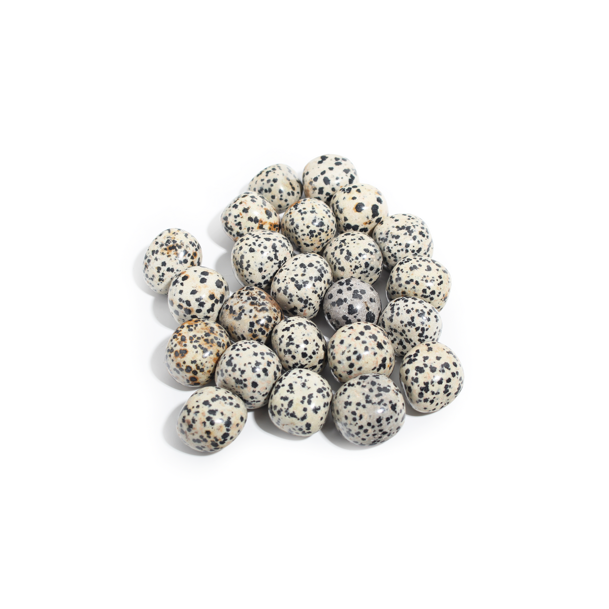 Dalmatian Jasper Tumbled Stones