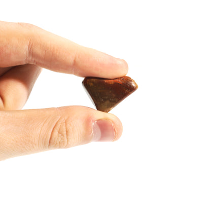 Petrified Wood Tumbled Stones - Madagascar