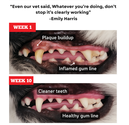 Himalayan Yak Chew (EXTRA LARGE)