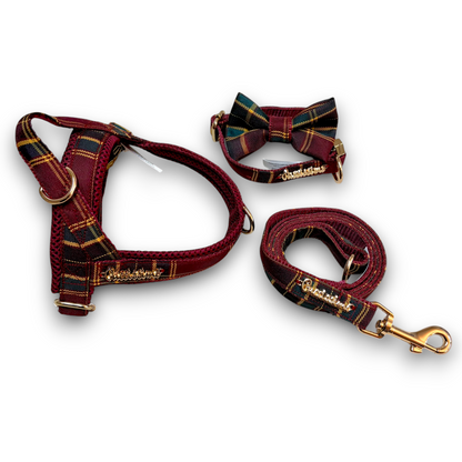 Welsh Leash with hands-free extension