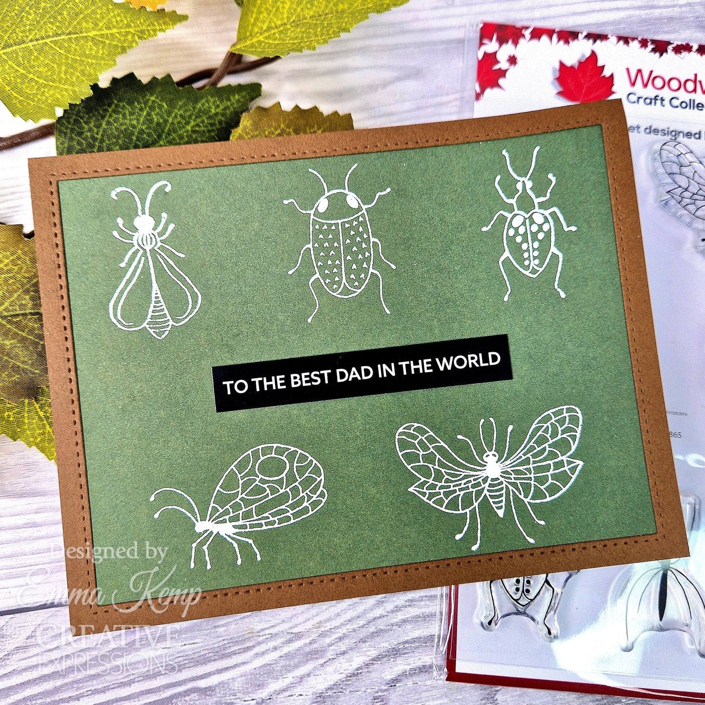 Woodware Clear Singles Bug Doodles 4 in x 6 in Stamp Set