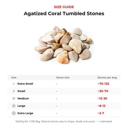 Agatized Coral Tumbled Stones
