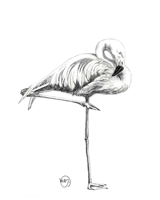 Beautiful Pink Flamingo Greeting Card