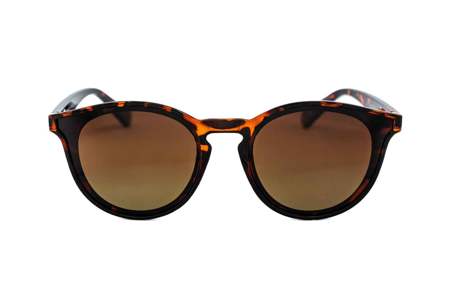 Maribel – Round Pantos Sunglasses | Bolero Eyewear