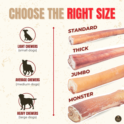 12 Inch Standard Bully Stick