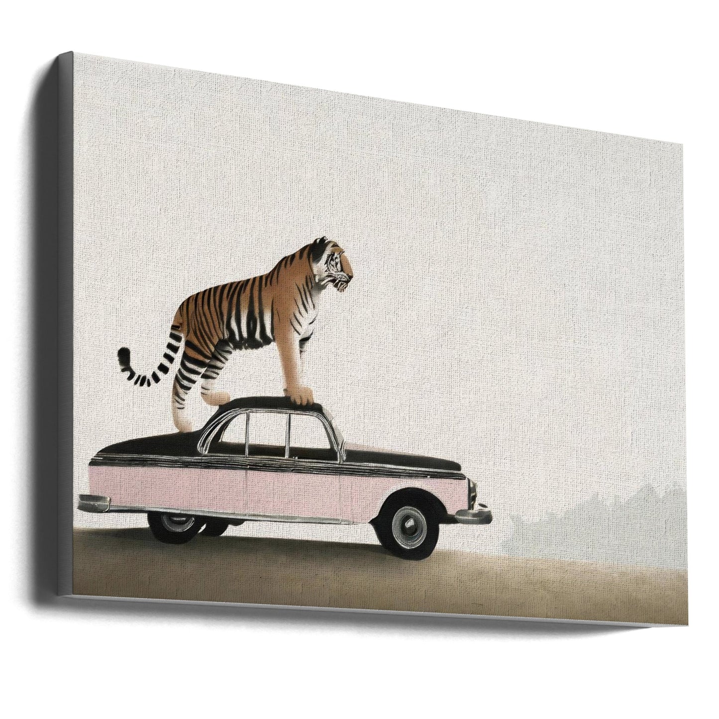 Wandbild: Tiger auf einem Autodach