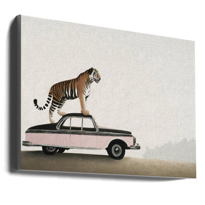 Wandbild: Tiger auf einem Autodach