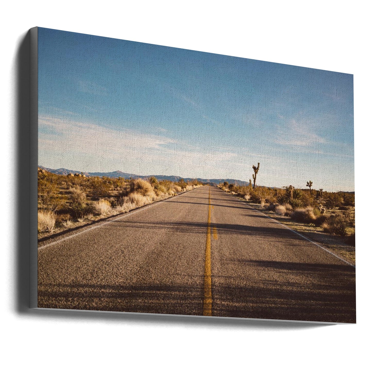 Wandbild Joshua Tree Road
